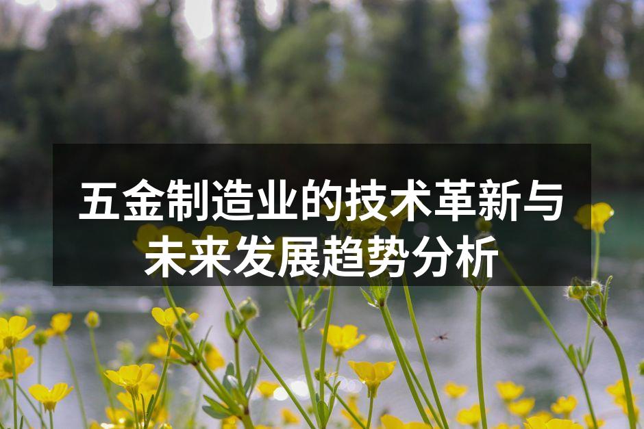 五金设备的自动化生产线