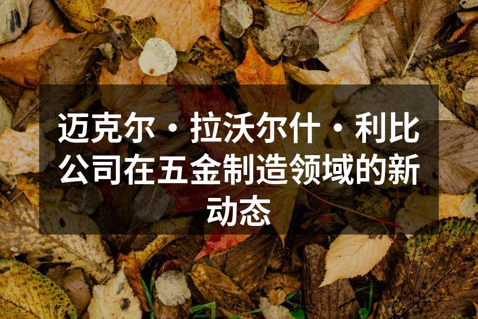 公司新产品发布会现场